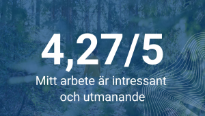Mitt arbete är intressant och utmanande, betyg 4,27/5